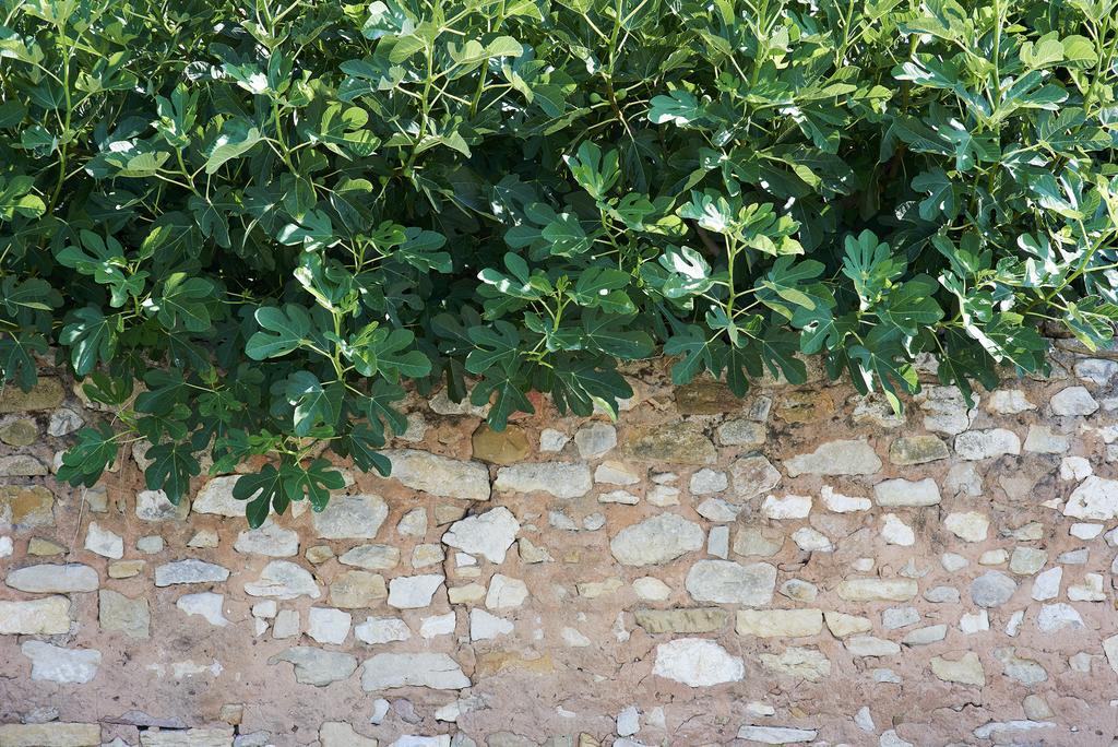 La Maison D'Ulysse Small Luxury Hotel Baron  Εξωτερικό φωτογραφία