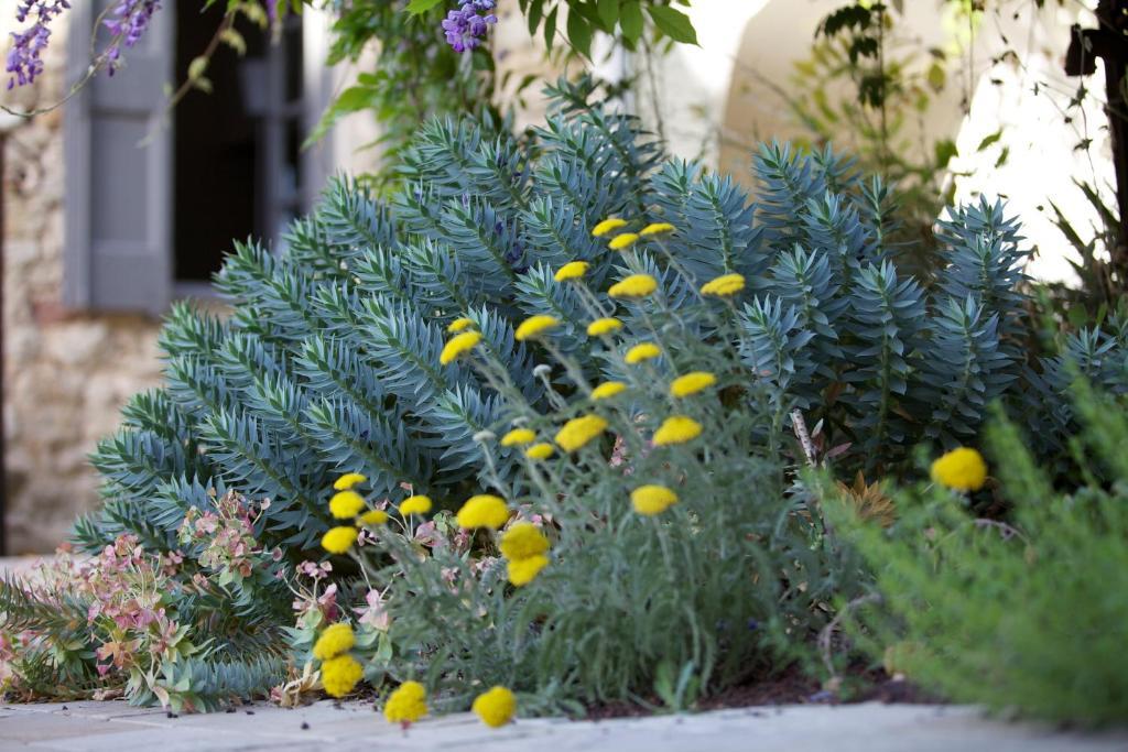 La Maison D'Ulysse Small Luxury Hotel Baron  Εξωτερικό φωτογραφία